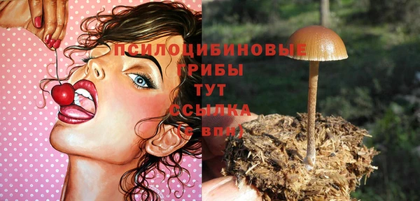 тгк Белокуриха