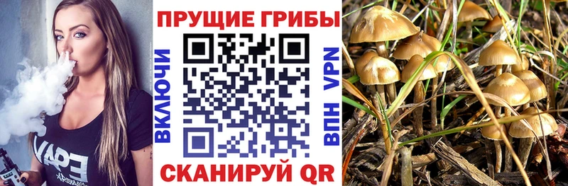Галлюциногенные грибы прущие грибы  Воркута 