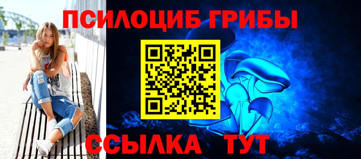 Псилоцибиновые грибы прущие грибы Воркута